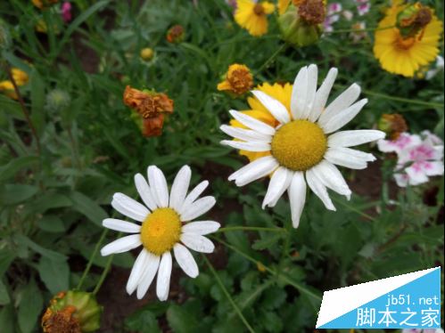 360n5s手机评测1782