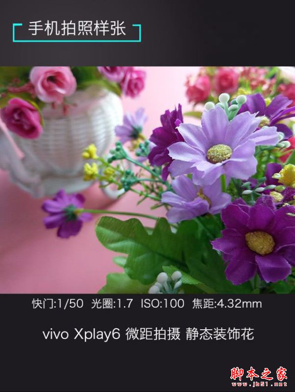 vivoXplay6/魅族Pro6Plus/锤子M1L哪个值得买？多张图看懂三款手机区别
