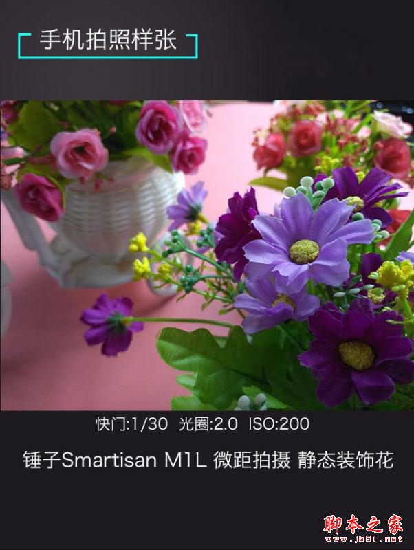 vivoXplay6/魅族Pro6Plus/锤子M1L哪个值得买？多张图看懂三款手机区别