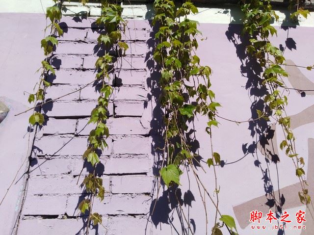 华为畅享7Plus值得买吗？华为畅享7 Plus外观/性能/拍照/续航全面评测图解