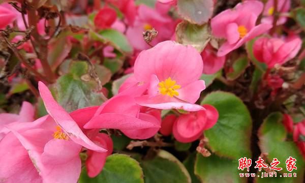努比亚Z17mini值得买吗？努比亚nubiaZ17mini手机全面深度评测图解