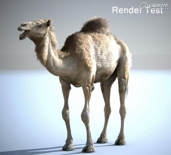 3DSMAX制作沙漠里的骆驼 脚本之家 3DSMAX建模教程