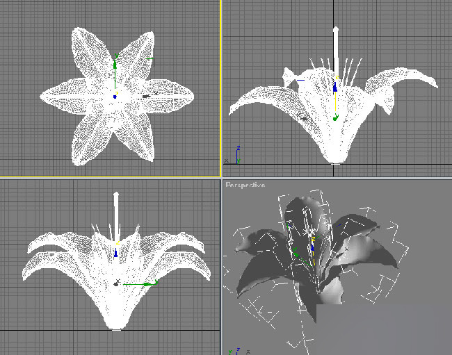 3dmax制作纯洁百合花 脚本之家 3dmax教程