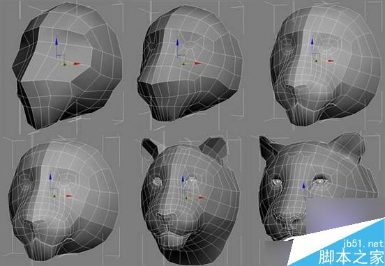 3dsmax制作超逼真的老虎  脚本之家 3dsmax教程