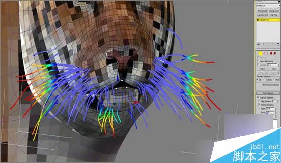 3dsmax制作超逼真的老虎  脚本之家 3dsmax教程