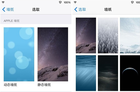 壁纸