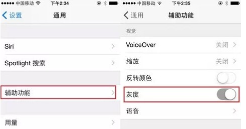 灰度选项