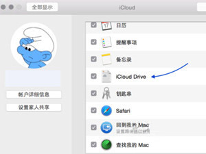 苹果iCloud Drive怎么用 iCloud Drive使用教程