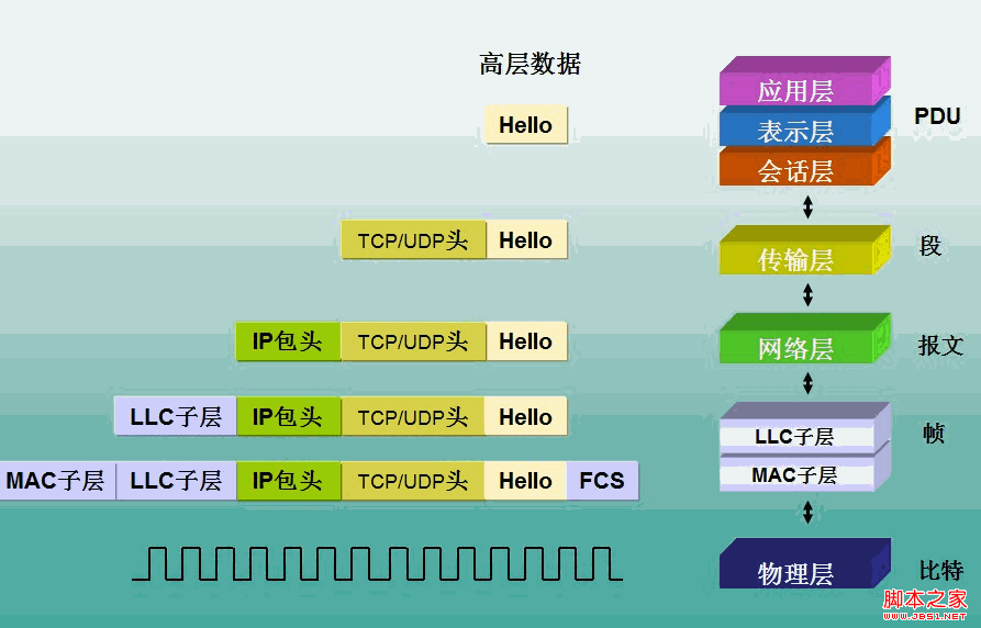 BeginMan--TCP/IP协议