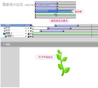 Flash CS4制作伸展的树枝教程,PS教程,思缘教程网