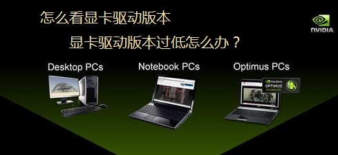 怎么看显卡驱动版本