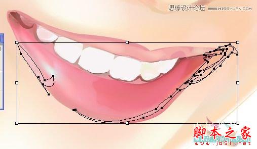 Illustrator网格工具绘制写实美女教程,脚本之家