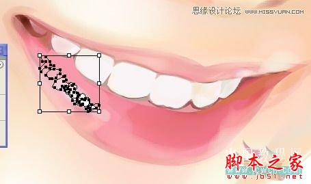 Illustrator网格工具绘制写实美女教程,脚本之家