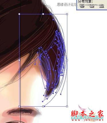 Illustrator网格工具绘制写实美女教程,脚本之家