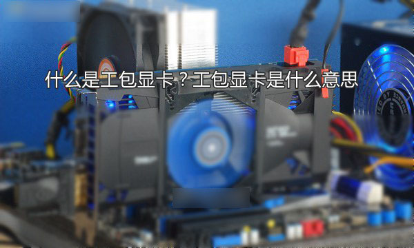 什么是工包显卡？工包显卡是什么意思