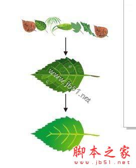 CorelDRAW解析网状填充运用教程,CDR教程