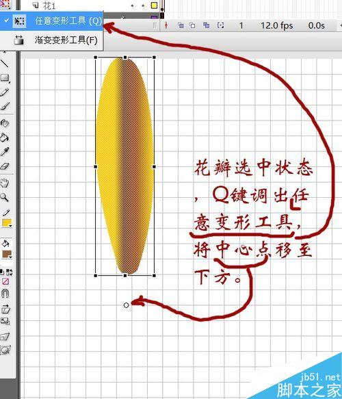 用flash绘制一朵花