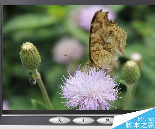 flash按钮控制实例——改变图片大小深浅