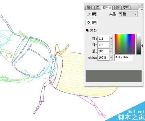 flash绘制昆虫——蝼步甲