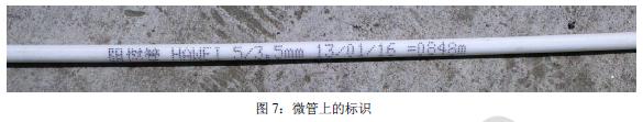 图7：微管上的标识