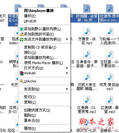 影音文件用skinplayer播放
