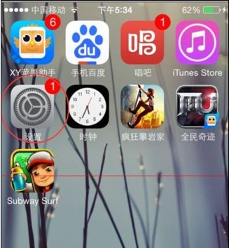 iPhone