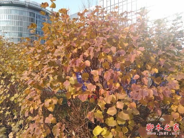 华硕飞马8平板值得买吗？华硕飞马8平板电脑全面深度评测图解