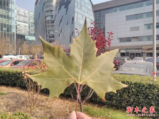 华硕飞马8平板值得买吗？华硕飞马8平板电脑全面深度评测图解