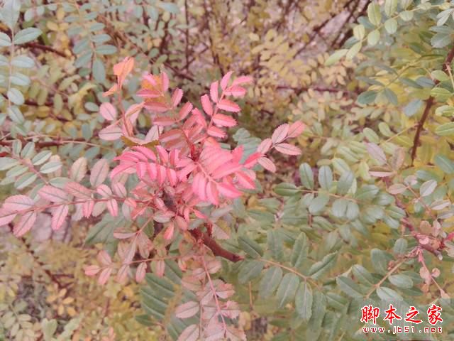 华硕飞马8平板值得买吗？华硕飞马8平板电脑全面深度评测图解