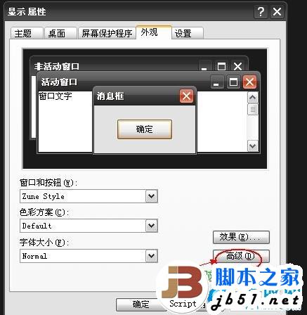 外观