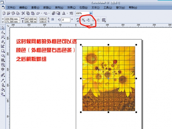 cdr任意拆分图片或矢量图形 脚本之家 cdr使用技巧
