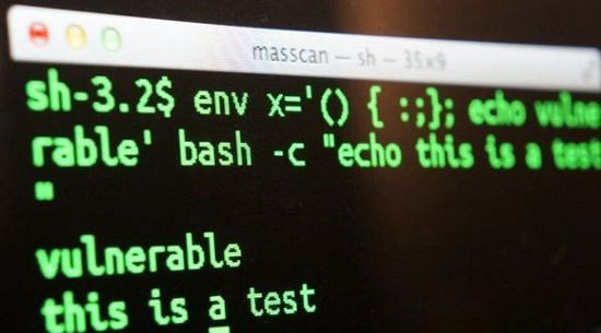 Bash是什么 Bash是什么意思？