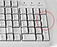 CD图像无缝分割的一种方法 脚本之家 CorelDraw实例教程