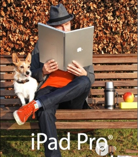 ipad pro屏幕有多大？ipad pro屏幕尺寸