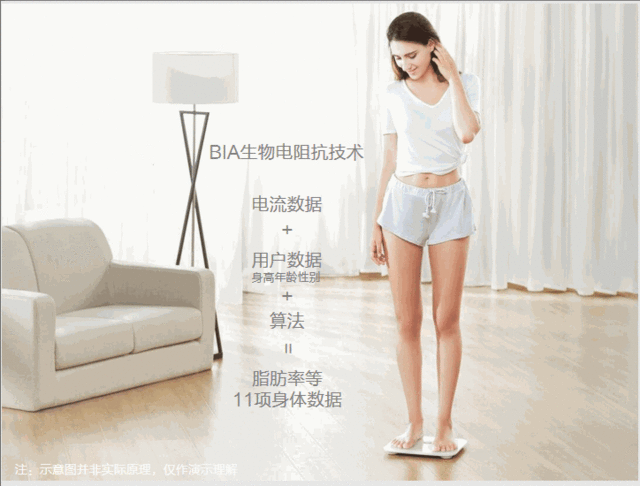 荣耀体脂秤和小米体脂秤哪个好？荣耀/小米体脂秤区别对比评测 