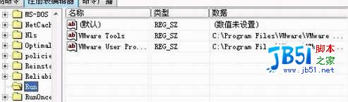 灰鸽子真相大揭底　专家为你实例剖析