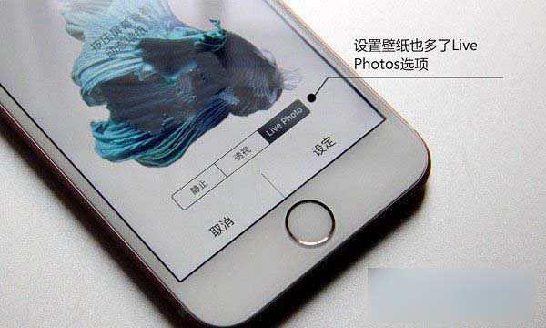 iPhone6s玫瑰金Live Photos拍照功能如何使用？