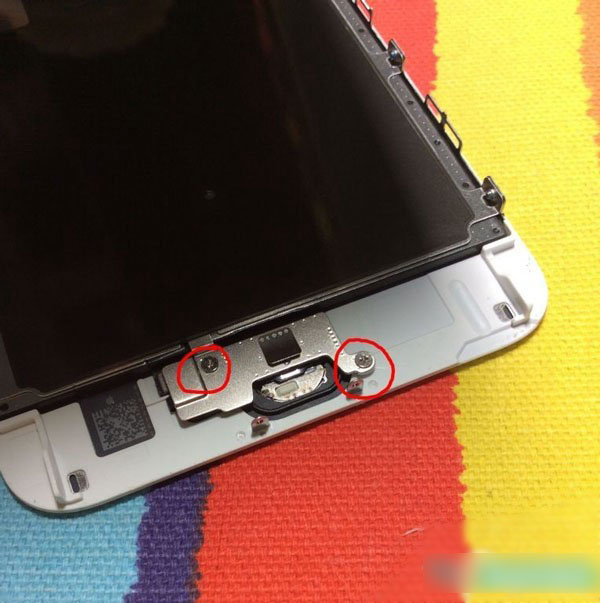 iPhone6s Plus Home键异响怎么办 Home键松动解决办法