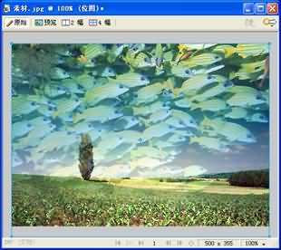 Fireworks CS3 蒙版基础教程(2)