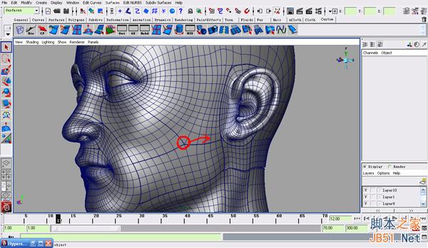 MAYA NURBS制作高精度生物模型详解 脚本之家 MAYA建模教程