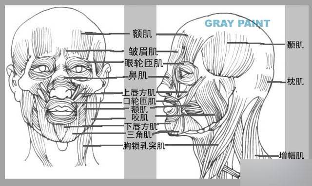 MAYA人物建模教程 人物造型 脚本之家 MAYA建模教程