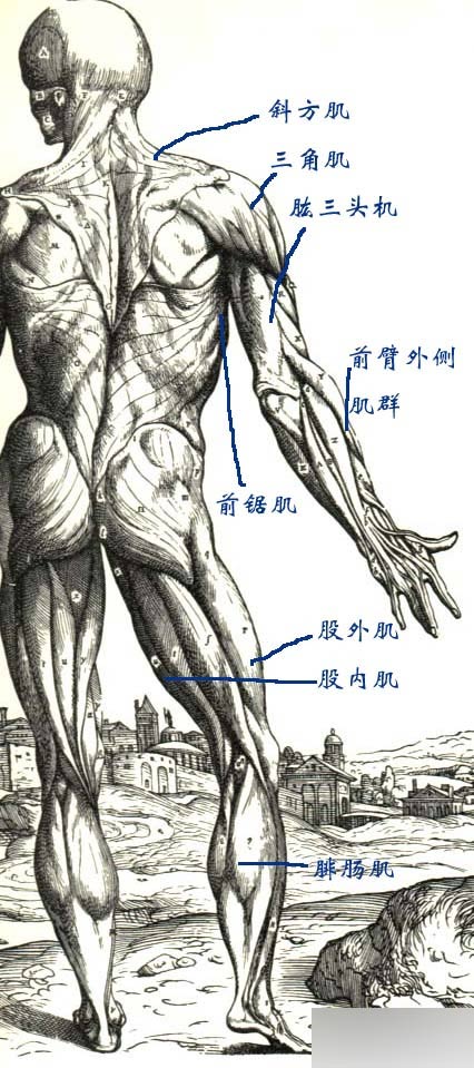 MAYA人物建模教程 人物造型 脚本之家 MAYA建模教程