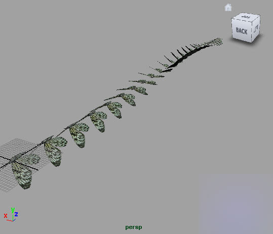 Maya2008制作一只逼真的蝴蝶 脚本之家