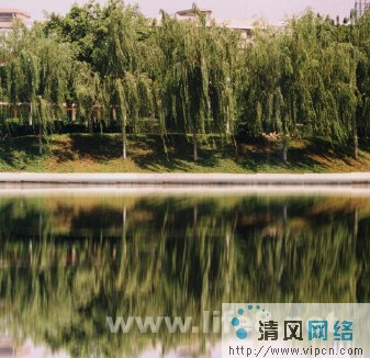 Fireworks效果之水波倒影[多图]图片3