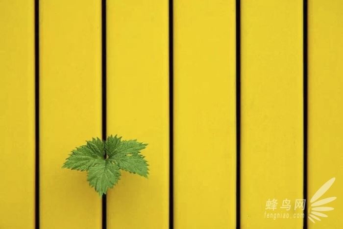 实用构图方法技巧
