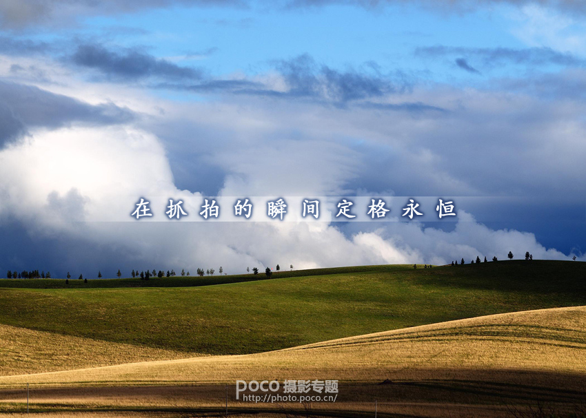 让抓拍的瞬间定格永恒   脚本之家