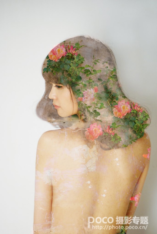 查看该作品