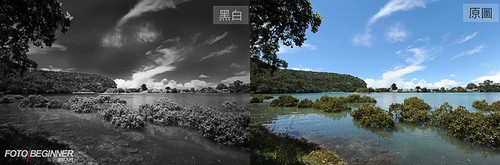 把平凡的相片起死回生 简单后期黑白相片教学