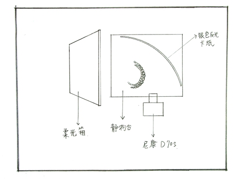 真假难分