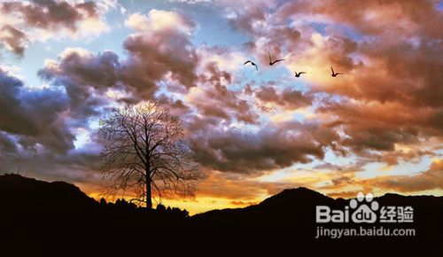 详细解析夕阳风光摄影技巧